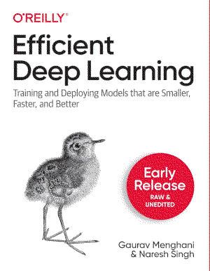 Efficient Deep Learning